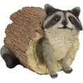 thumbnail image 1 of Bandit the Raccoon Garden Ornament Animal Statue, 25.5cm, Polyresin, Full Color Palette, 1 of 5
