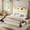 Beige, variant on GUNAITO Queen Size Upholstered Platform Bed Frame, Button Tufted Velvet Bed with 4 Storage Drawers, LED Lights & USB Charging Ports, Noise‑Free Metal Frame with Headboard, No Box Spring Needed, Beige