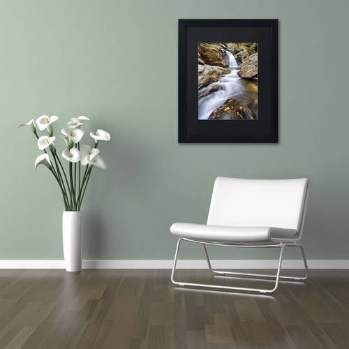 Trademark Fine Art "Bingham Falls" Canvas Art by Michael Blanchette Photography Black Matte, Black Frame
