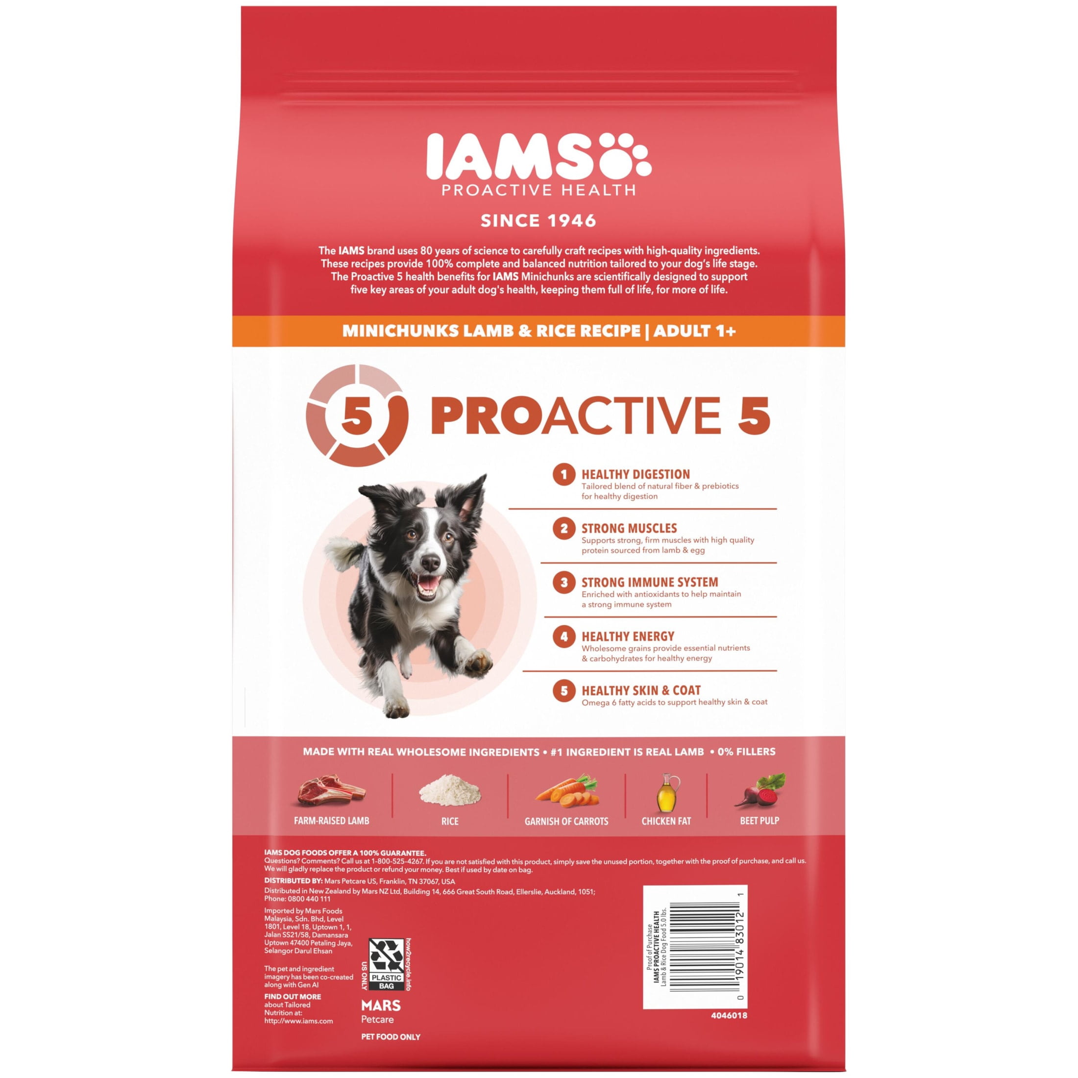 IAMS Proactive Health Adult Minichunks Lamb & Rice Recipe Dry Dog Food, (4) 5 Lb Bags