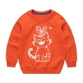 thumbnail image 4 of AJTQTH Cute Cat with Flower Print Long Sleeve Graphic T-Shirts for Kids Boys Girls Casual Round Neck Pullover Tops Loose Lightweight Soft Cotton Tees Shirt Orange 2-3 Years, 4 of 4