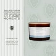 thumbnail image 3 of Pecksniffs Aromatherapy De-Tox Candle | 3 Wicks, 285g/10.05oz, 3 of 10
