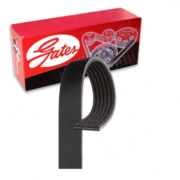Gates Micro-V Serpentine Belt compatible with Infiniti Q50 3.0L V6 2016-2019