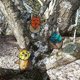 thumbnail image 2 of Maceta De Jardín, Adornos Artísticos De Hojas, Estatua De Jardín Para Macetas, Decoración De Jardín De Bonsái Scienceny HA043469-01, 2 of 6