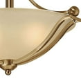 thumbnail image 4 of Hinkley Lighting - Three Light Pendant - Bolla - 3 Light Large Pendant in, 4 of 6