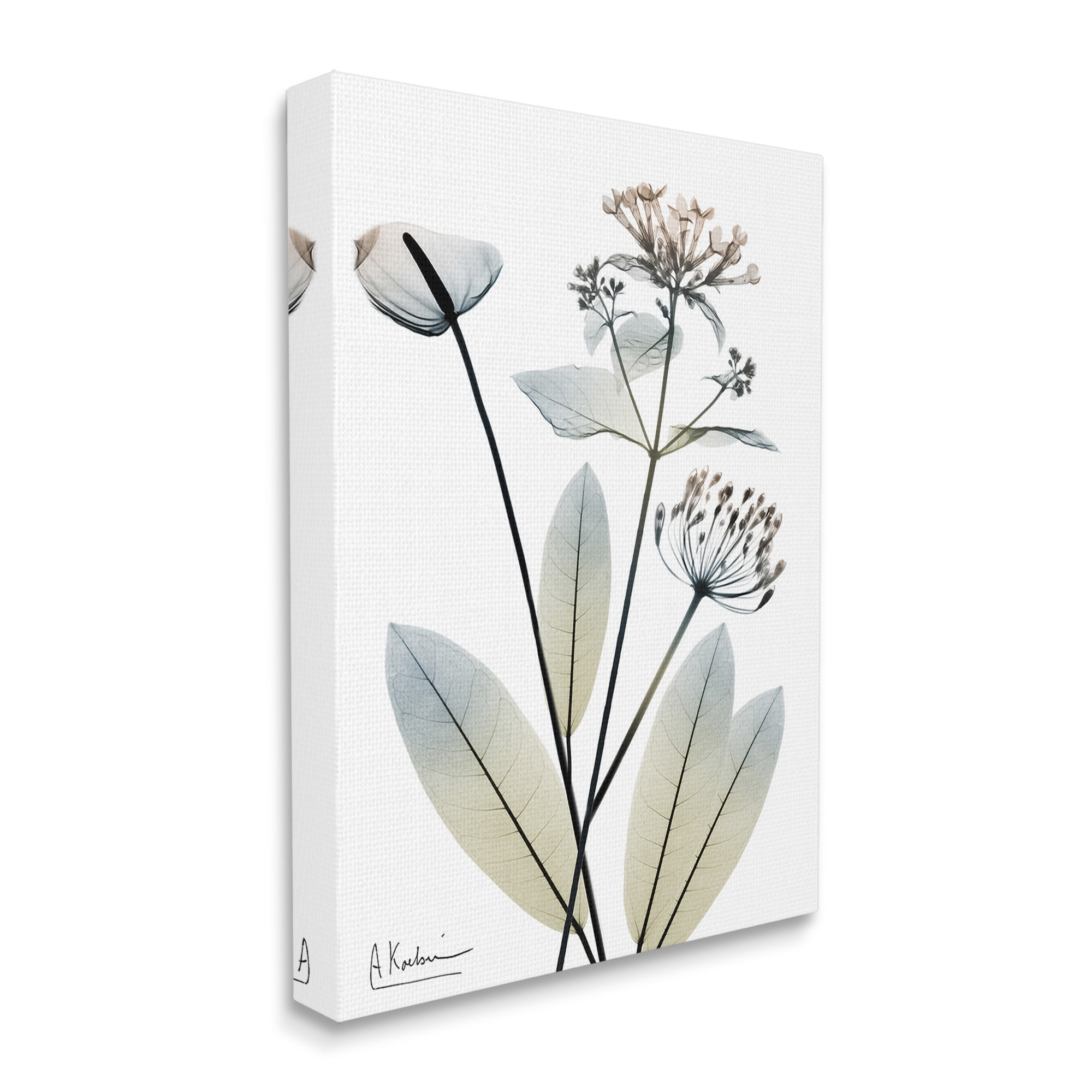 Stupell Industries Contemporary Flower Shapes Botanical & Floral Photography Gallery Wrapped Canvas Art Print Wall Art, 30 x 40