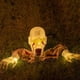 thumbnail image 3 of Fantasma eléctrico para gatear para Halloween, fantasma brillante con sonido de terror, accesorio para casa encantada, decoraciones para patio al aire libre, 3 of 4