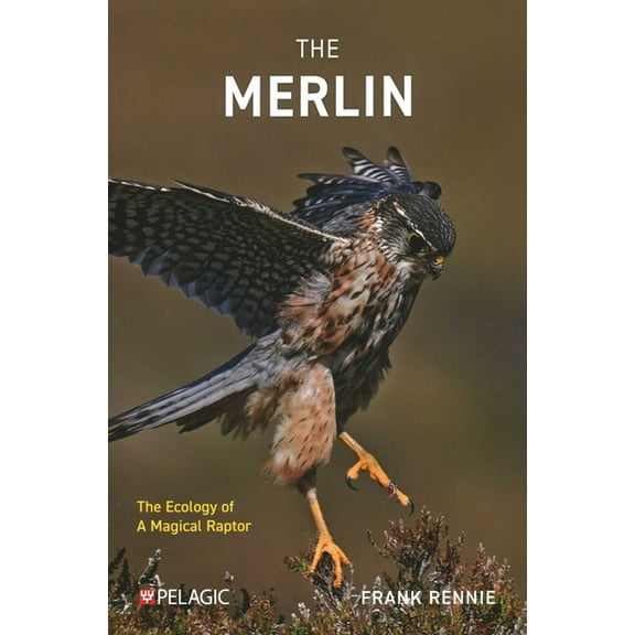 The Merlin: The Ecology of a Magical Raptor, (Paperback)