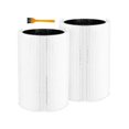 thumbnail image 1 of Replacement Filter For Blue Pure 411, Fits Blue Pure 411, 411 Auto, 411+ Air, 1 of 5