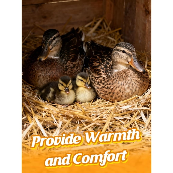 5lb Natural Wheat Straw for Cats Shelter - Soft Warm Clean Decorative Straws Bale for Stray Animal Bedding Farm Garden Mulch Grass Cover