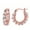 esrring 588, variant on Trendy Hypoallergenic Dangle Earrings Wedding Earrings Jewelry for Brides Fully Earrings Lace Zircon Inlaid U Shaped Earrings Hypoallergenic Huggie Gold Hoops Earrings for Women Jewelry