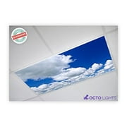 Octo Lights - Fluorescent Light Covers - 2x4 Flexible Ceiling Light Diffuser Panels - Decorative Clouds - for Classrooms and Offices - 005