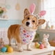 thumbnail image 4 of Bufanda de Pascua para mascotas, diadema para perro y conejo estampada con huevos de colores, babero para perro, decoración festiva, adecuada para gatos, perros y gansos, diadema de poliéster para mas, 4 of 6