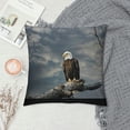 thumbnail image 2 of Orinice Bald Eagle Symbolism Graphic Decorative Pillow Case for Home Couch Living Room Sofa Bedroom - Outdoor Indoor Throw Pillow Cover 1PC 12x12in, 2 of 5