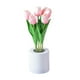thumbnail image 4 of Luz de noche Salvador Decoración moderna Lámpara de mesa de noche Lámpara de escritorio LED Rosa, 4 of 10