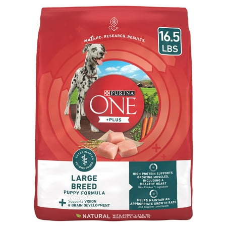 UPC 017800149242 product image for Purina One +Plus Puppy Dry Dog Food for Large Dogs High Protein  Real Chicken  1 | upcitemdb.com