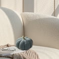 thumbnail image 5 of kladzum Halloween Stuffed Pumpkin Throw Pillows Soft Pumpkin Pillow Halloween Decorations, Fall Thanksgiving Cushion Pillow Soft Cute for Home Sofa Couch Bedroom Decor Gift, 5 of 6