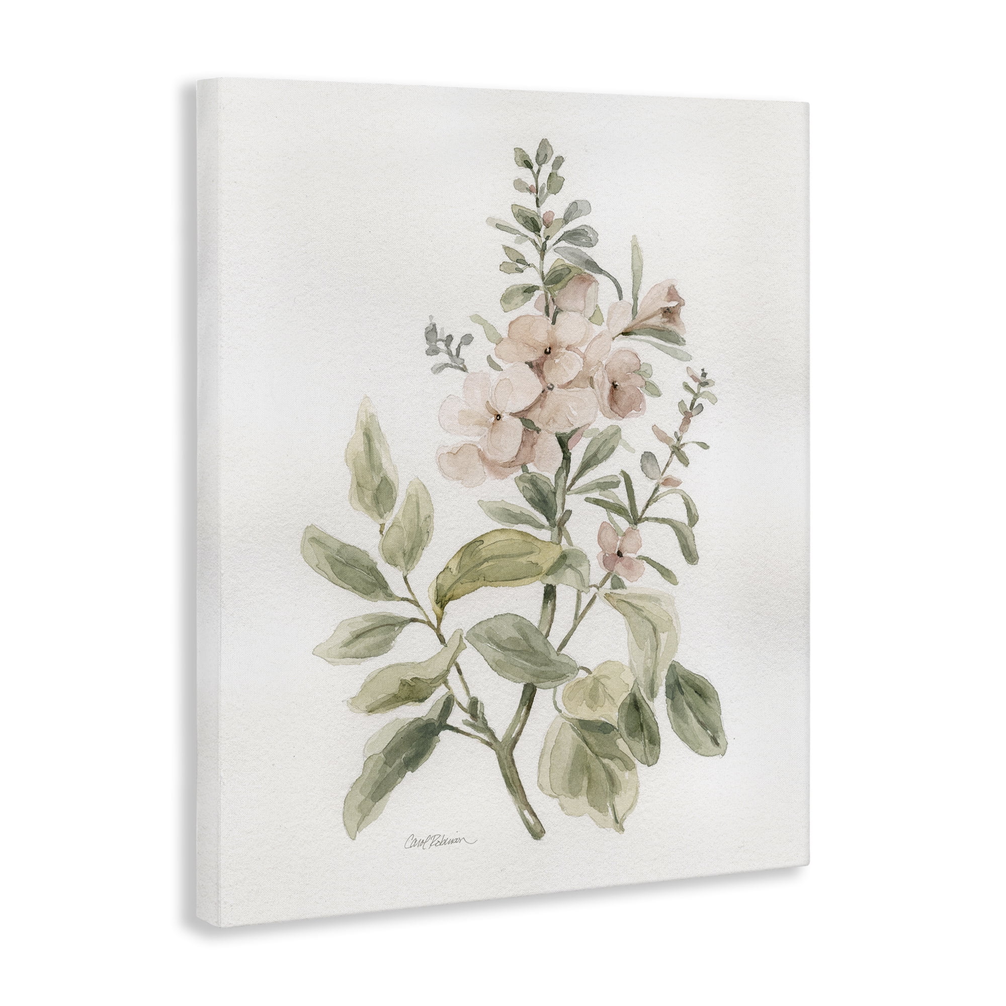 Stupell Industries Dainty Blooming Botanical Plants & Flowers Painting Wrapped Canvas Art Print Wall Art, 16 x 20