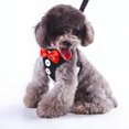 thumbnail image 2 of Dog Corset And Leash Set With Fancy Dress Bow Tie And Black Vest For Puppies And Dogs Pet Skirt DOPI, 2 of 5
