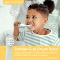 thumbnail image 3 of PureBaby 4-Pack Replacement Brush Heads for The Infant-to-Toddler Electric Toothbrush, 3 of 8