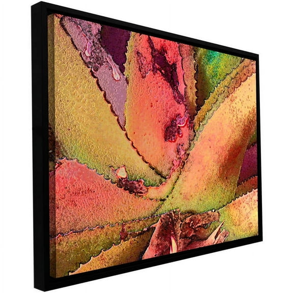 Dean Uhlinger "Texturas Suculentas" Floater-Framed Gallery-Wrapped Canvas