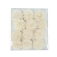 thumbnail image 3 of Studio 350 Boxed Natural White Carnation and Rose Sola Flowers (Set of 2) - 6 x 7 - 6 x 7, 3 of 5