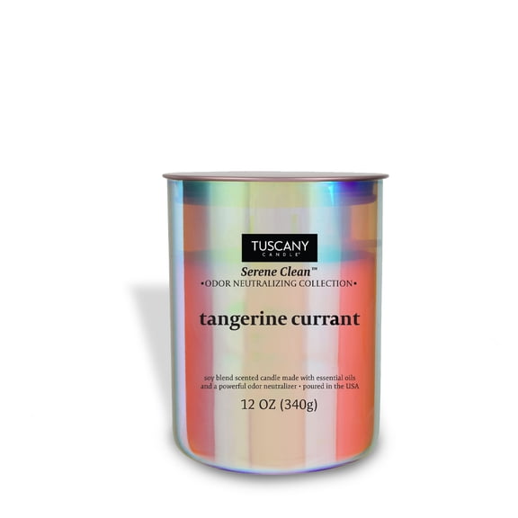 Tangerine Currant Scented Jar Candle (12 oz) – Serene Clean Collection