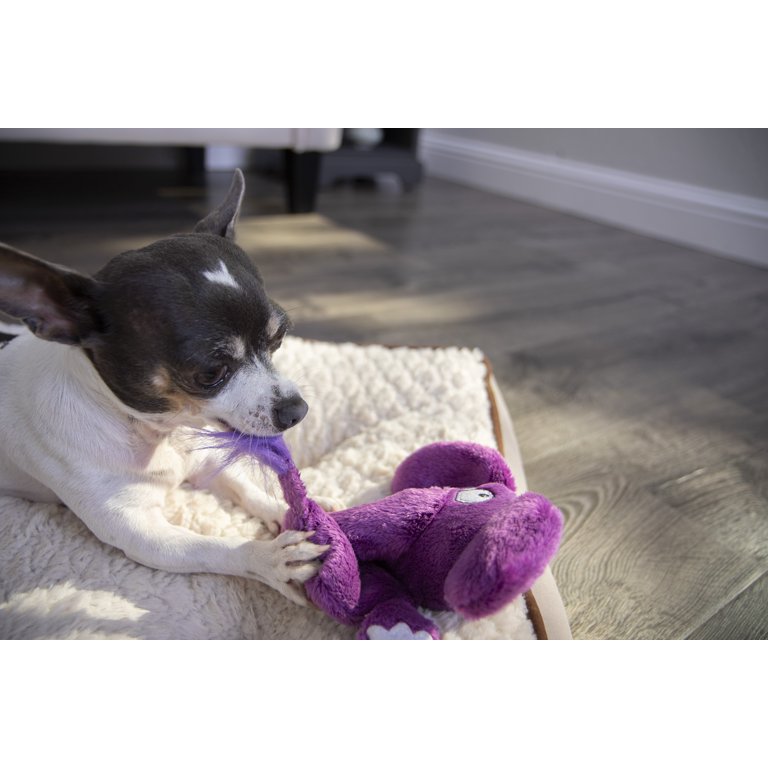 Go Dog Hear Doggy Mini Flattie Elephant With Chew Guard Technology And —  NurturePet Pet Supply