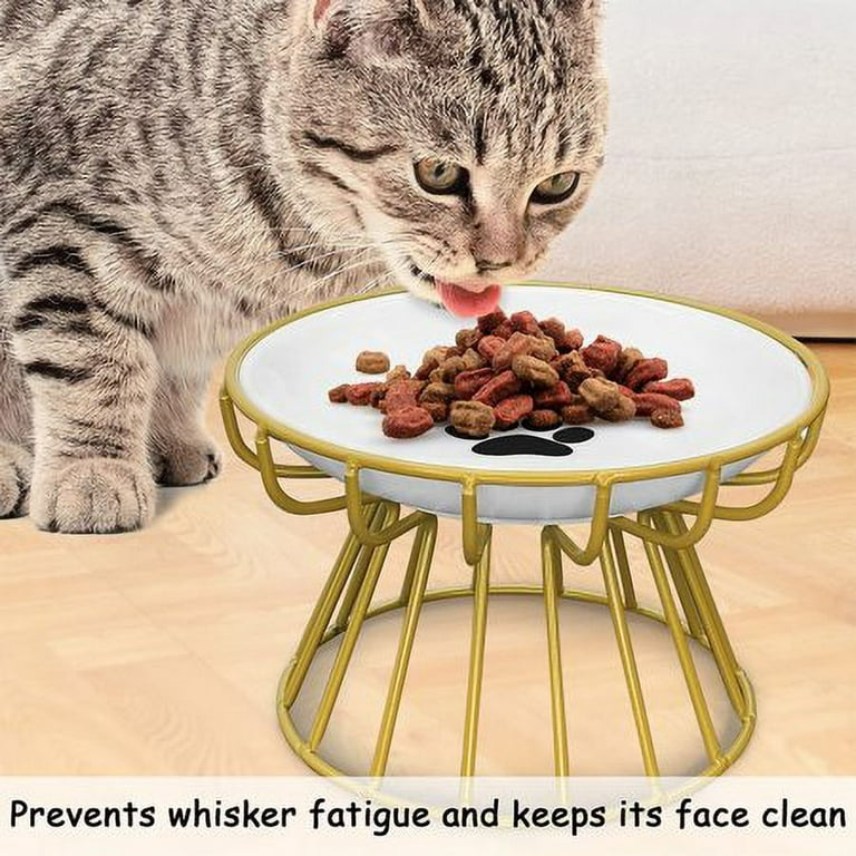 Cat Bowl-Raised Cat Food Bowl ,Elevated Cat Feeder Bowl Stand, Food & Water  Anti Vomiting