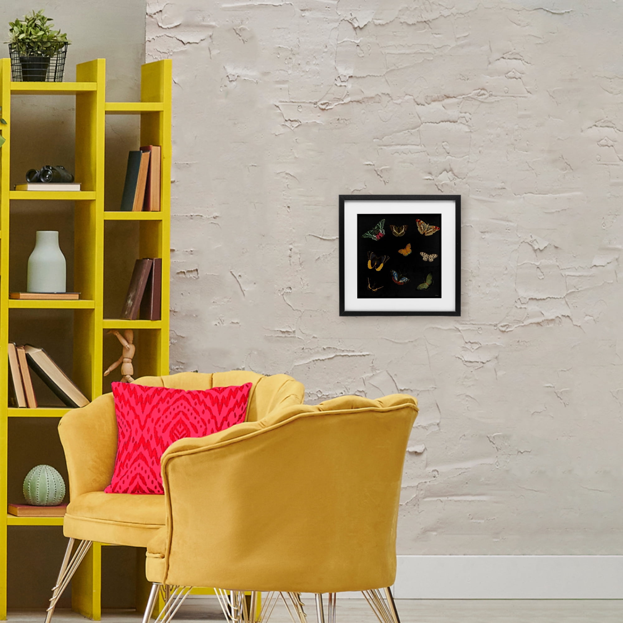 Stupell Industries Butterfly & Moth Collection Black Framed Print Under Glass, design by Dan Meneely