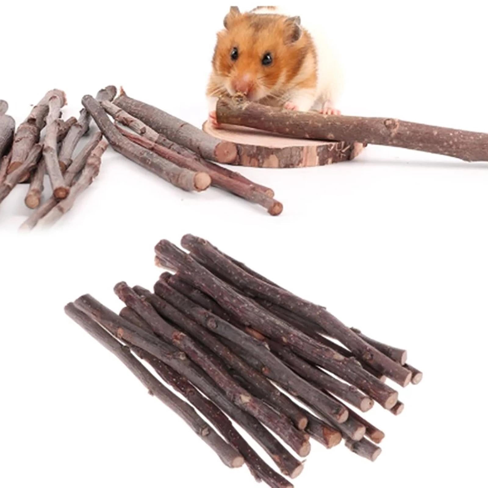 EHJRE Natural Hamster Chew Sticks, Molar Twigs, Accessories, Bunny Branches Rat Toys, Wood for Rodent Animals Groundhog Squirrels Treats