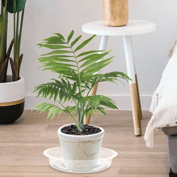NUOLUX 10Ud Plantas Transparente Para Macetas Redondo Y Duradero Para Uso En Hogar