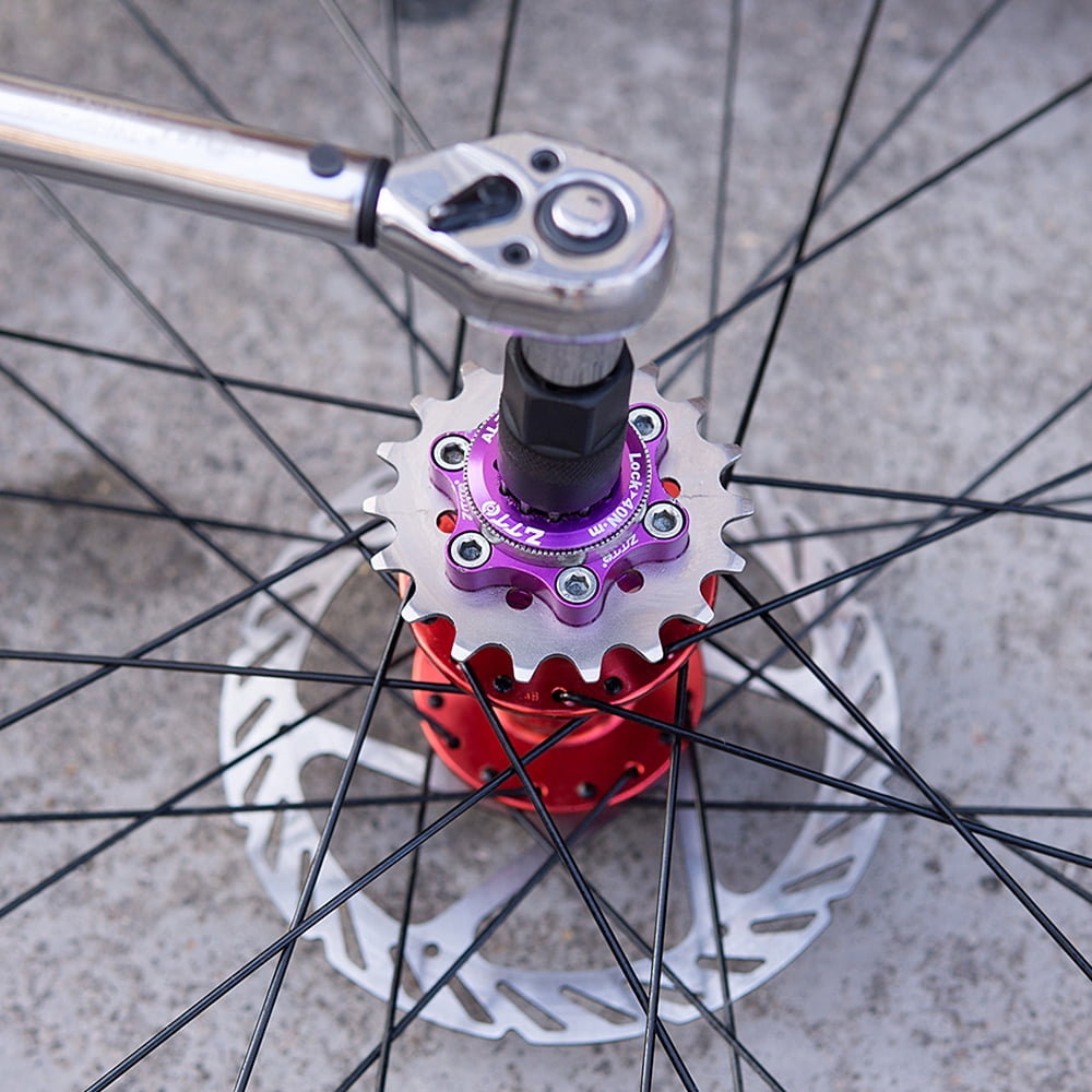 single speed freewheel bike