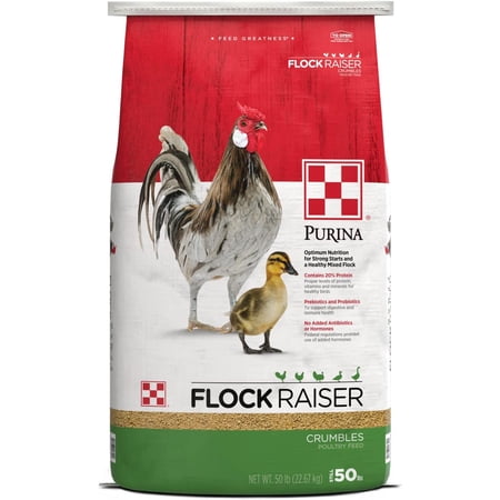 Purina | Flock Raiser Crumbles Poultry Feed | 50 Pound (50 LB) Bag