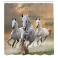 thumbnail image 3 of Ambesonne Horses Shower Curtain, Sky, 69"Wx84"L, White Orange, 3 of 5