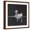 Brown Frame, variant on Art.com Duckling Swimming on Water Surface, UK Photographic Print by Jane Burton, 30" x 30"