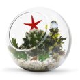 thumbnail image 4 of Jarrón de vidrio WGV con forma de globo redondo transparente de 5,5 cm, 4 of 7