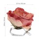 thumbnail image 5 of ColoMX 2 abrazaderas para cortinas, clips para cortinas, clips con forma de flor, 5 of 7