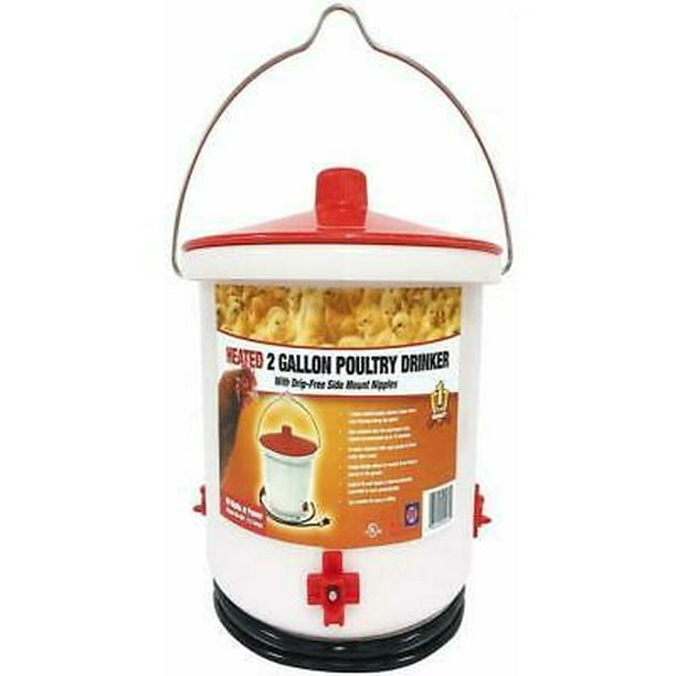 1PK Farm Innovators HB-60P Heated Poultry Drinker, 2 Gallon - Walmart.com