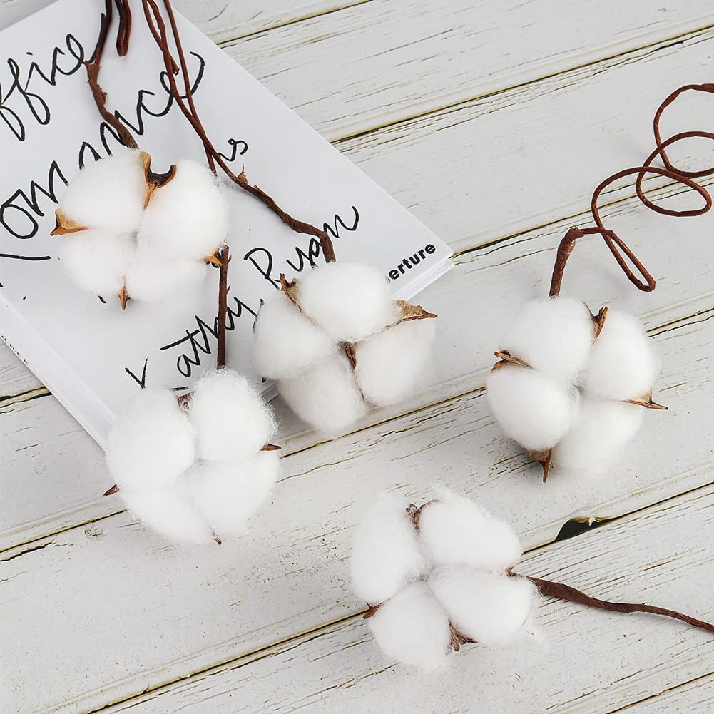 30PCS Natural Dried Cotton Stems 15" Tall, Rustic Cotton Sprigs for Vase Fillers, Floral Arrangements and Farmhouse Fall Decorations and DIY Crafts