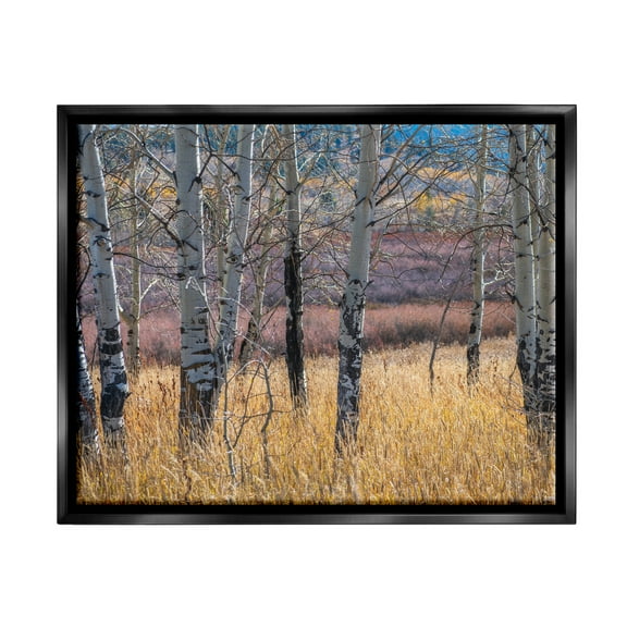 Stupell Industries Birch Trees Photography Nature Photography Black Floater Framed Art Print Wall Art, 21 x 17