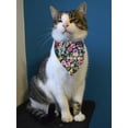 thumbnail image 2 of Blooming Flowers Bandana  -Image by Shutterstock,  Large, 2 of 4