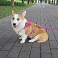 thumbnail image 3 of HQREA Female Dog Collar and Leash Set for Large Dogs Personalized Velvet Floral Pet Collar with Leash for Dogs, 3 of 6