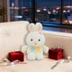 thumbnail image 5 of Juguetes de piscina, juguetes para bebés, juguetes para niños pequeños, lindos peluches, juguetes divertidos, animales de peluche, adornos decorativos, muñecos de peluche para niños y niñas., 5 of 5