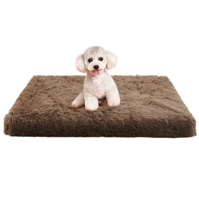 Large Dog Bed for Medium Large Dogs Orthopedic Egg Crate Foam