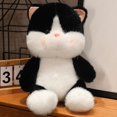 thumbnail image 2 of Juguetes de peluche de gato bonito para niños, almohada Huggable de simulación esponjosa divertida, decoración de habitación de dibujos animados, 25 cm, 35 cm, 45cm, 2 of 4
