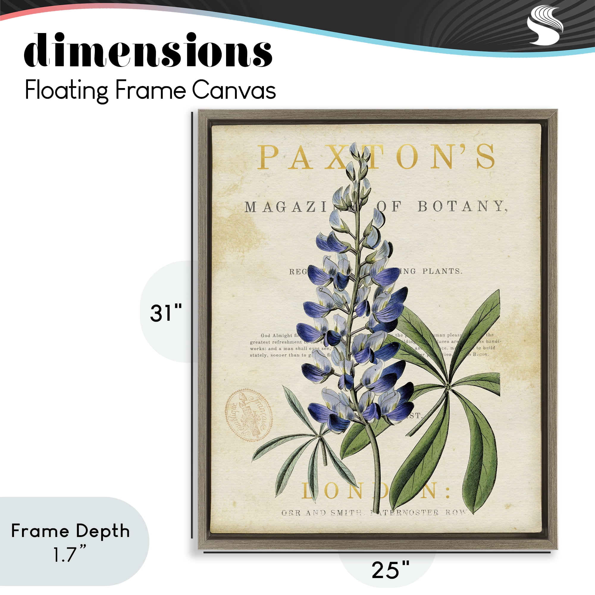 Stupell Industries Natural Botany Lupine Brown Framed Floater Canvas Wall Art, design by Susan Arnot
