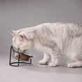 thumbnail image 6 of Qholemyo Slanted Glass Pet Bowl Pet Food Bowl Non Knock Feeding Bowl Neck Protection For Cats And Teddy Dogs, 6 of 6