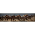 thumbnail image 2 of Linden, Sally 24x9 Black Ornate Wood Framed with Double Matting Museum Art Print Titled - Running Flames, 2 of 4