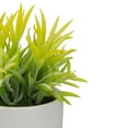thumbnail image 4 of Northlight 8" Potted Green Artificial Succulent with Wooden Stand, 4 of 5